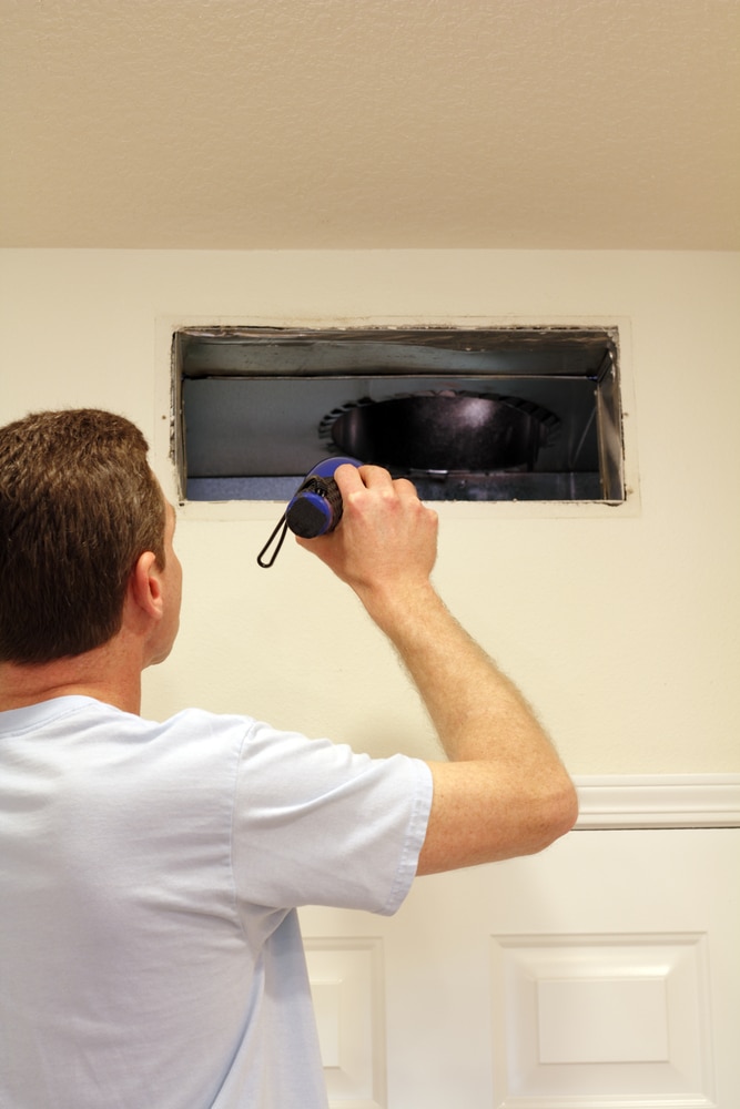 Insects, rodents, and other vermin infestation in your dirty air ducts