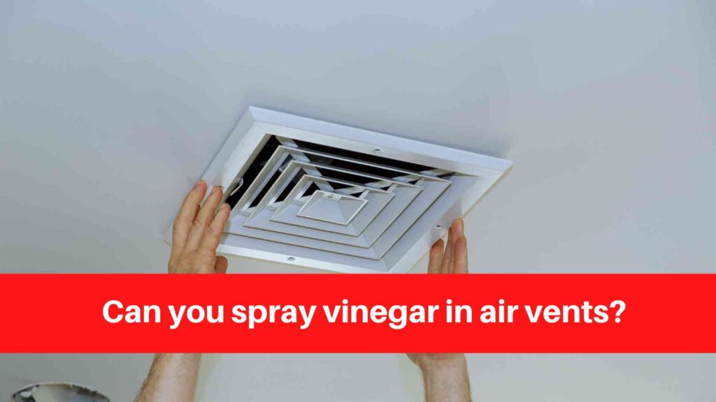 Can you spray vinegar in air vents