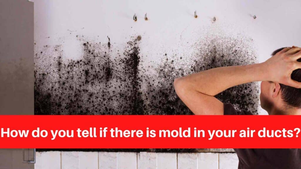 How do you tell if there is mold in your air ducts