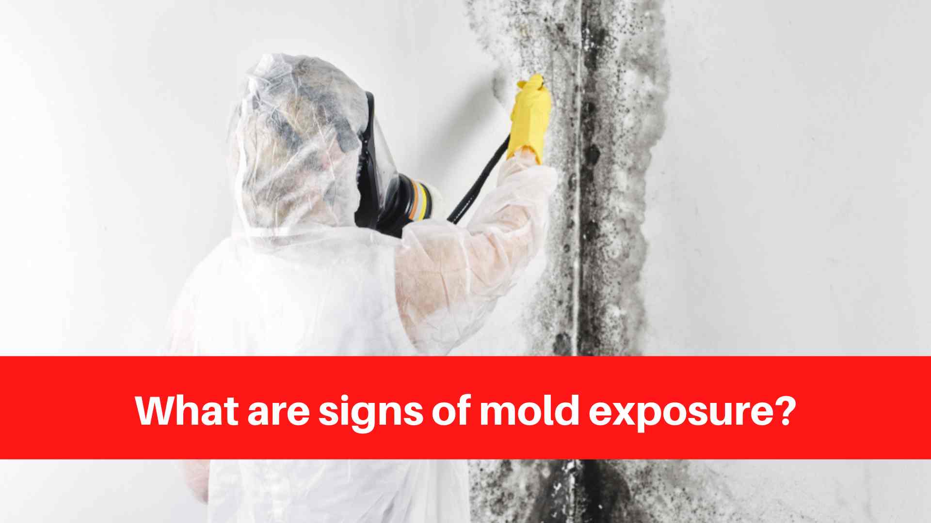 What Are Signs Of Mold Exposure? - Duct Cleaning Sudbury