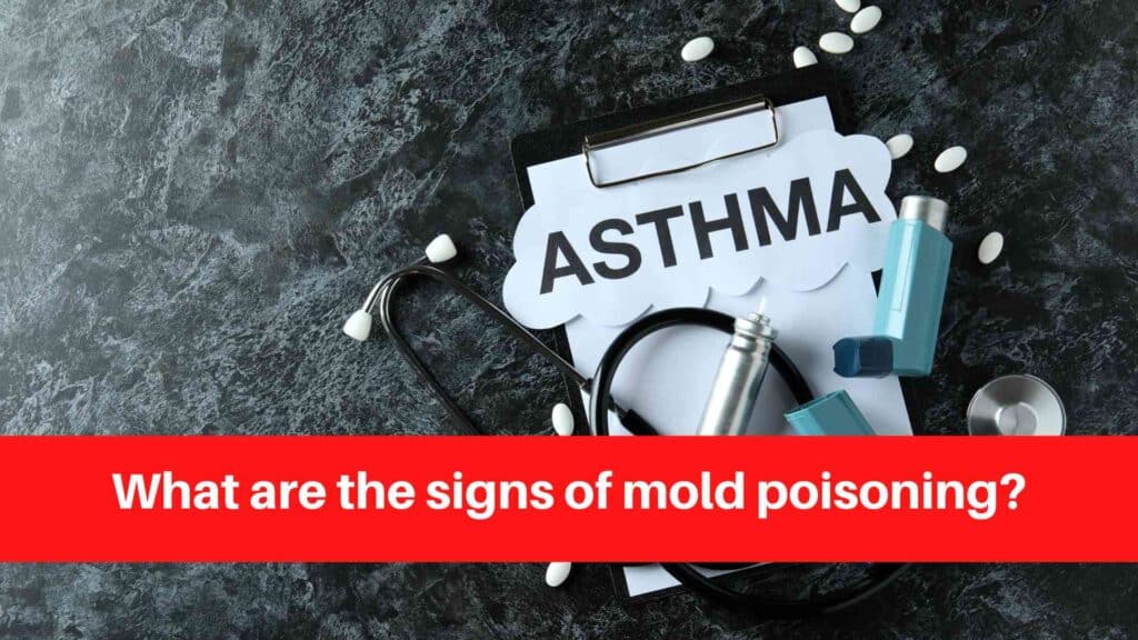 What are the signs of mold poisoning