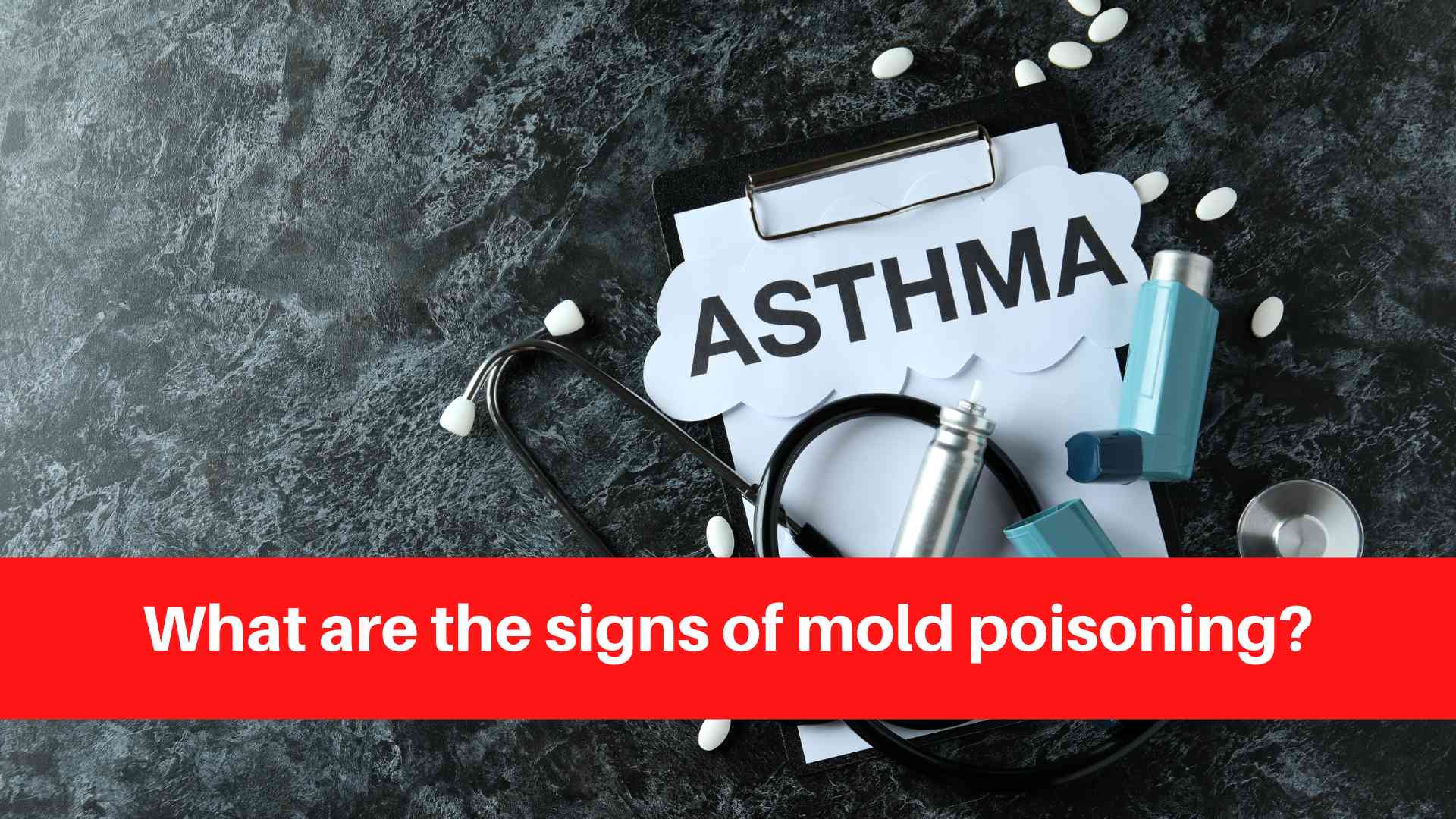 what-are-the-signs-of-mold-poisoning-duct-cleaning-sudbury